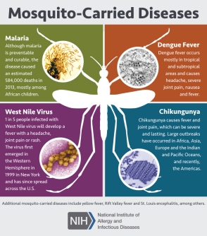 Mosquito-Carried_Diseases_(20565047612)
